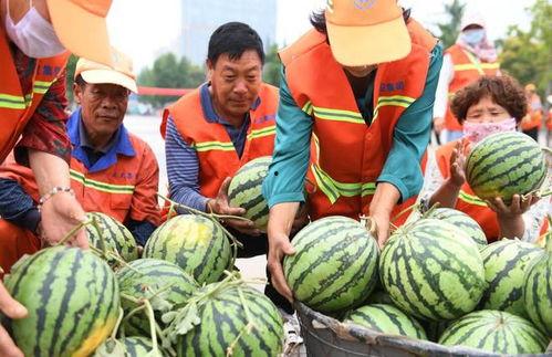 郯城最新吃瓜大事件视频,视频揭秘惊人真相 郯城最新吃瓜大事件视频,视频揭秘惊人真相