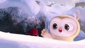 冬天搞笑视频带你吃瓜,搞笑视频带你笑出“瓜”子香