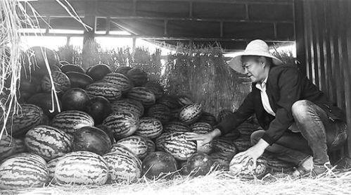 朱山吃瓜群众事件视频完整版,揭秘网络舆论风暴背后的真相