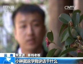 吃瓜受害人后续故事视频,揭秘背后惊人真相