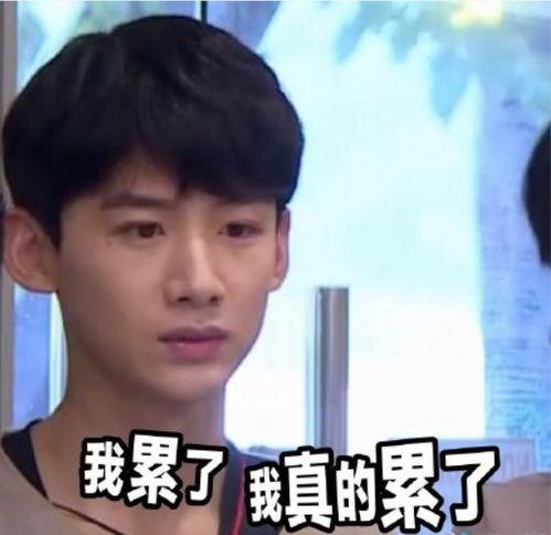 沙雕吃瓜的视频,带你领略网络搞笑瞬间