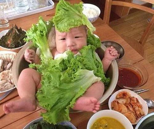 三宝爸吃瓜视频大全,揭秘娱乐圈幕后故事