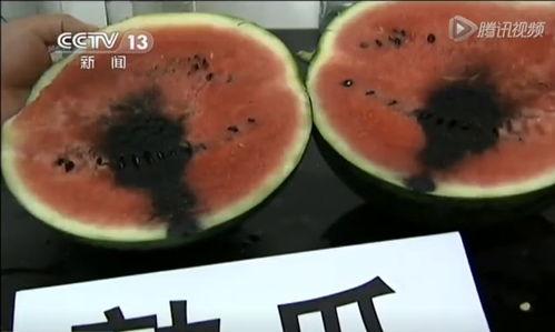 赤峰痞老板吃瓜视频,揭秘幕后真相，笑料百出