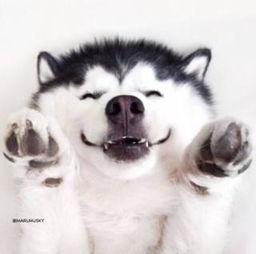 吃瓜群众完整视频大全最新